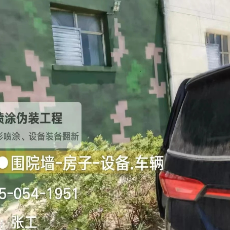 宁夏数码迷彩漆施工